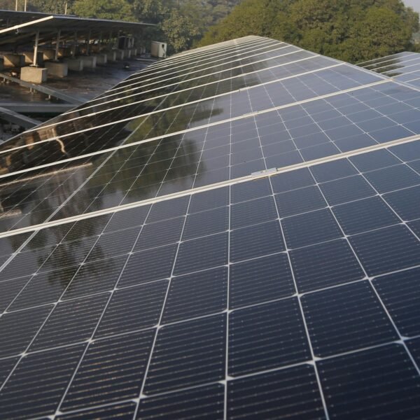 Pexels jamshaid anwar 345256184 14673396 600x600