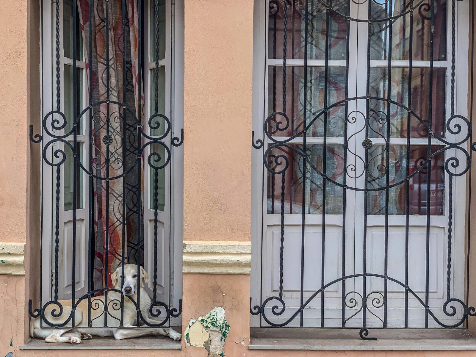 Pexels jose antonio otegui auzmendi 2150489988 34995931 scaled