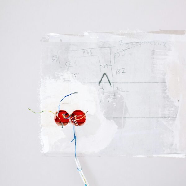 Pexels lamiko 3614763 600x600