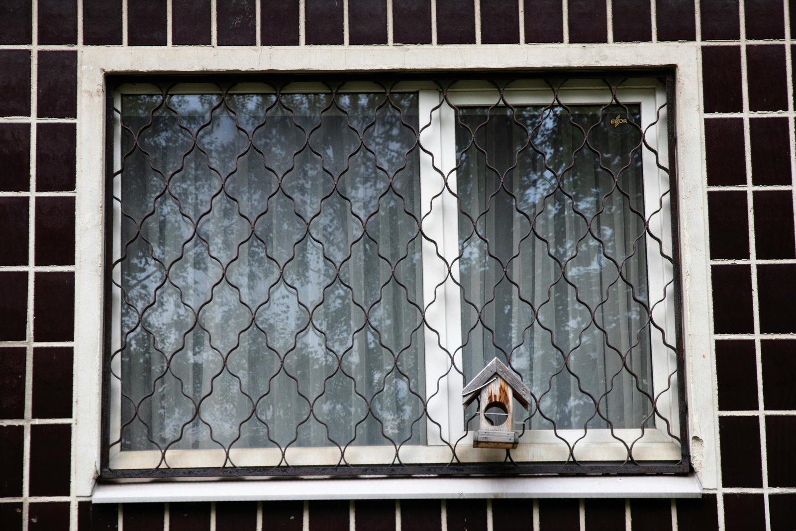 Pexels reinis bruzitis 2153679369 33676864 scaled