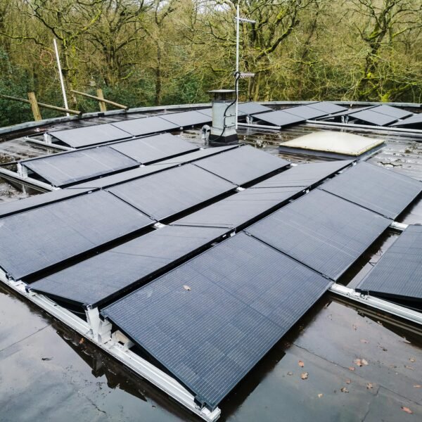 Pexels sdvmovies 29206500 600x600