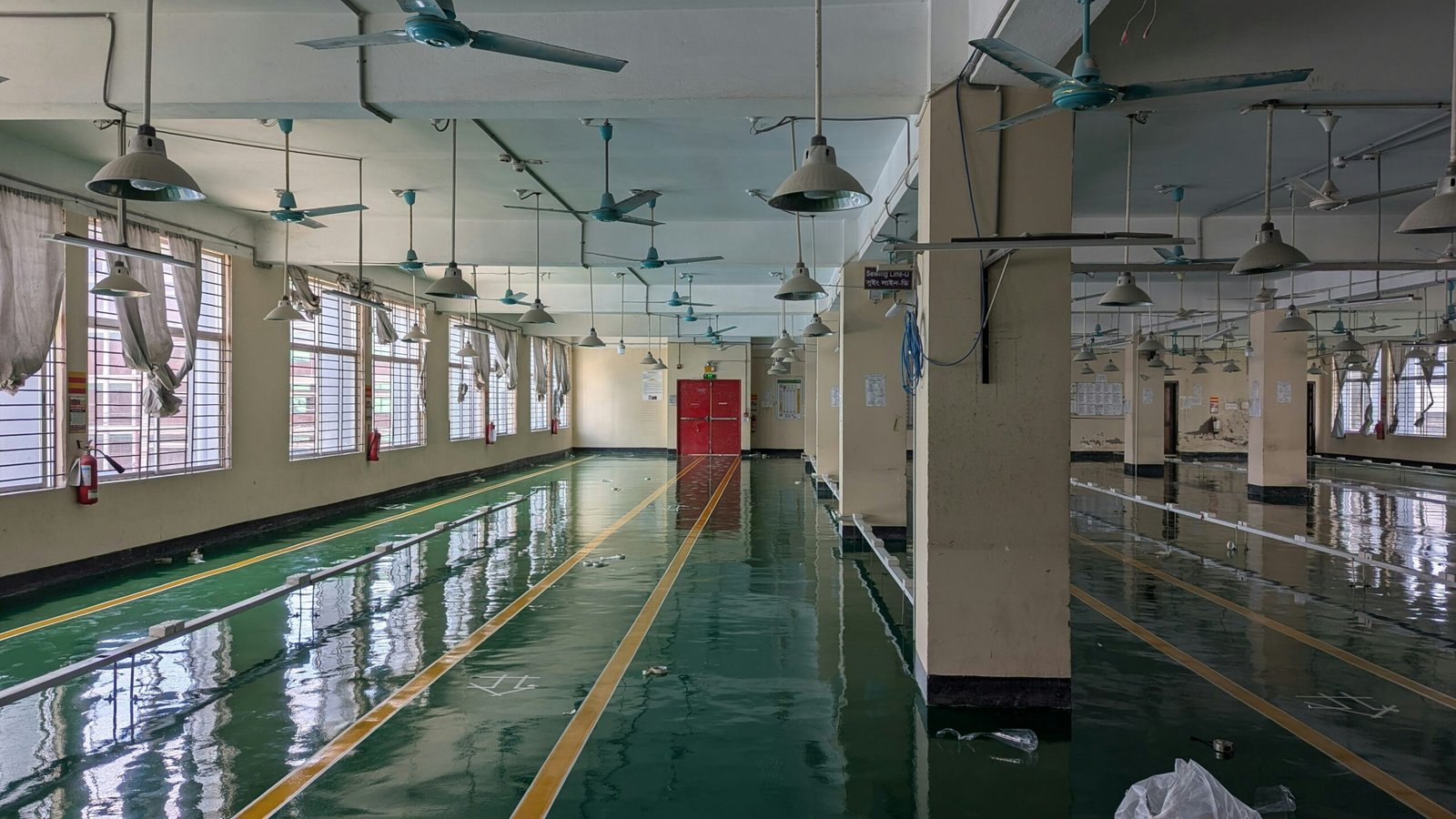 Ralphie beluga e8vcJKN Yjk unsplash scaled